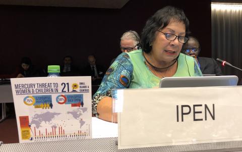 Imogen Ingram giving an intervention in plenary (Photo by Yuyun Ismawati) 