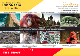 Indonesia Beauty and the Beast front
