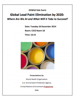 Lead Paint Elimination OEWG2 side event flyer