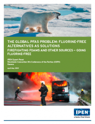 Global PFAS Problem cover